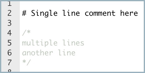PROGRAMMING COMMENTS