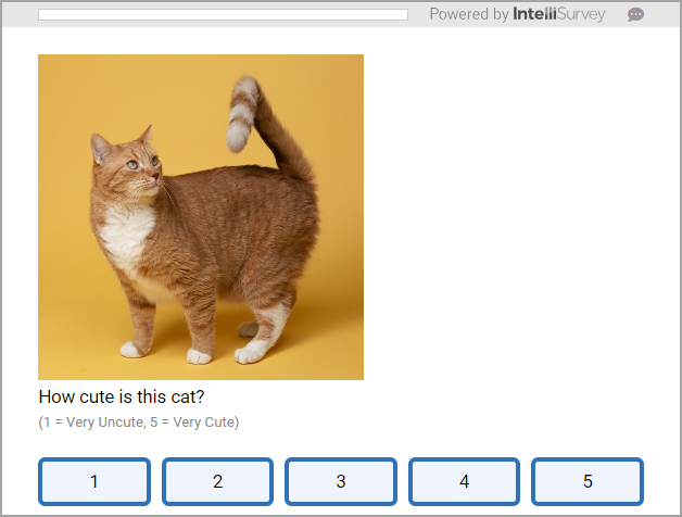 image_question_basic.png