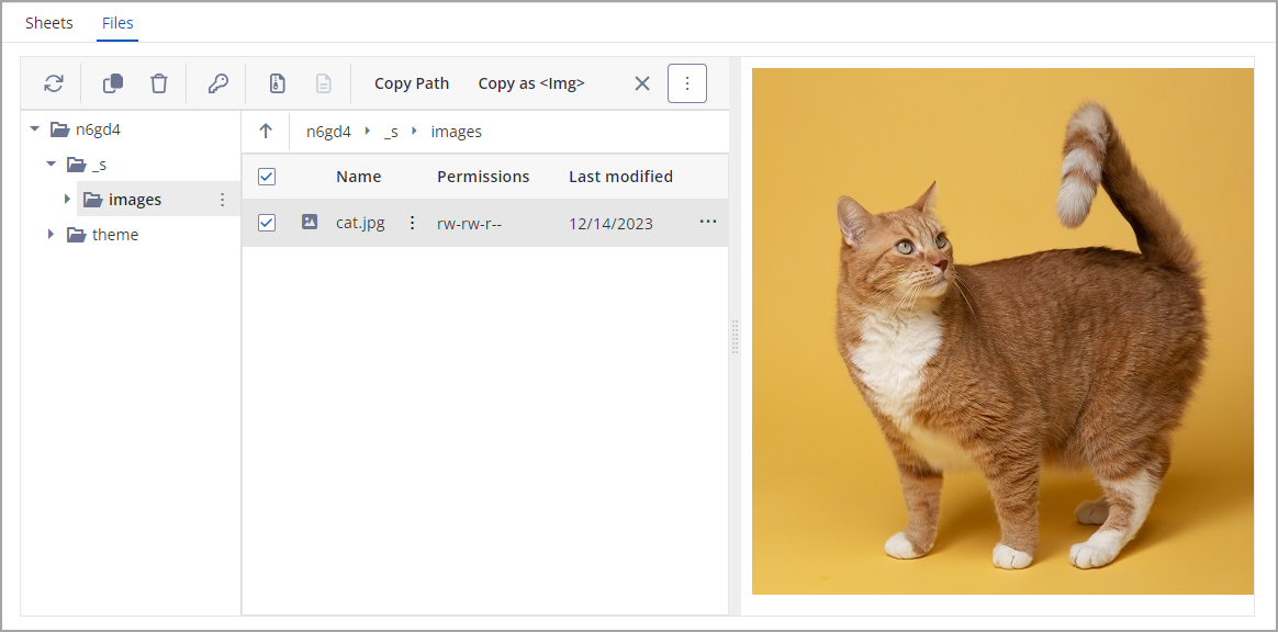 upload_complete.png