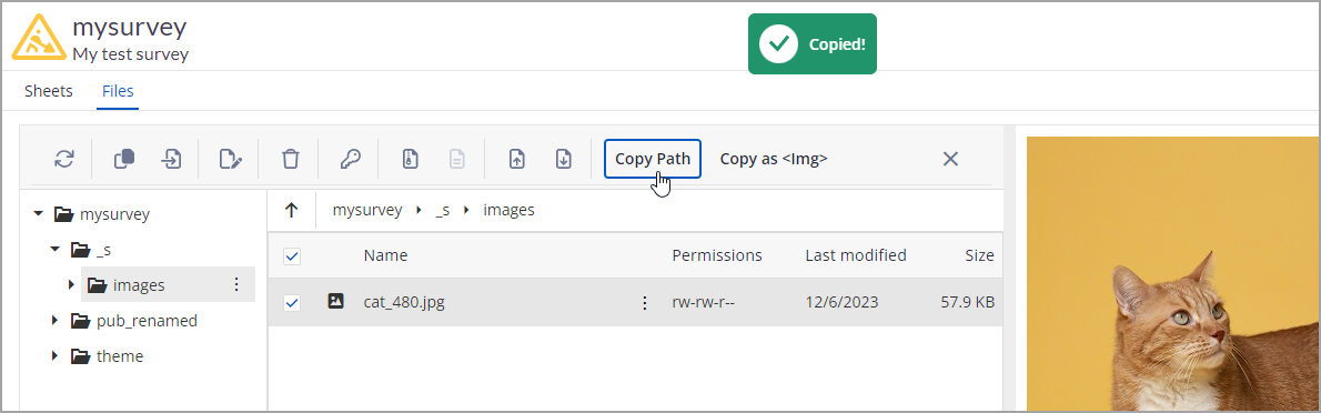 copy_path_example_v2.png