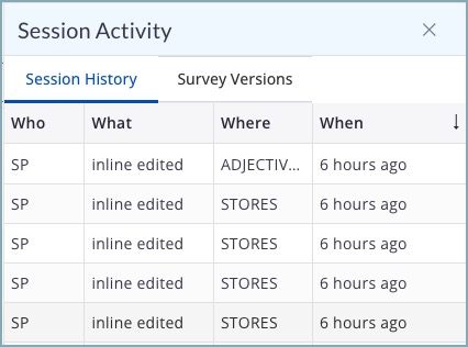 SESSION ACTIVITY PANE.jpg