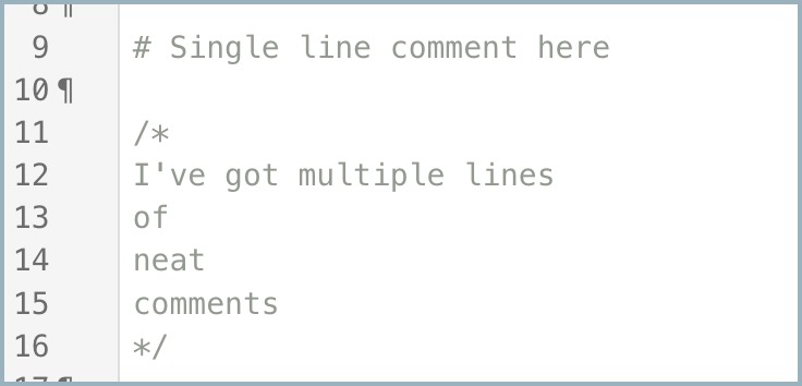 COMMENT IN SOURCE EXAMPLE.jpg